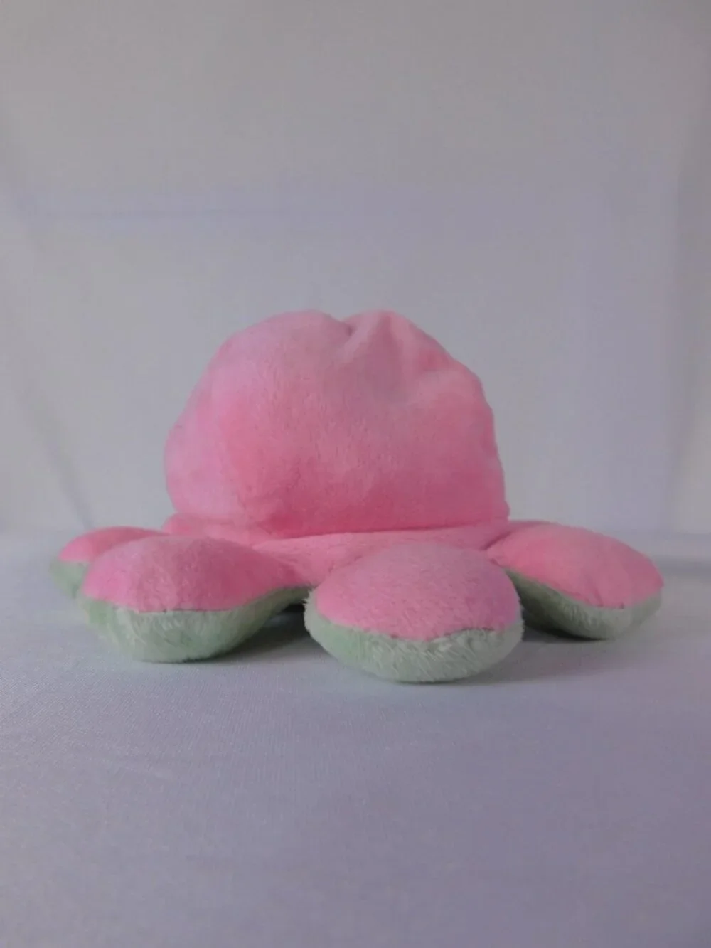 Unknown reversible octopus
